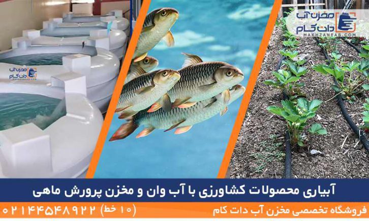 آبیاری محصولات کشاورزی با آب وان مخزن پرورش ماهی