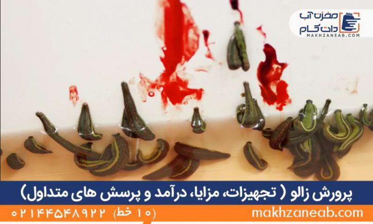 پرورش زالو